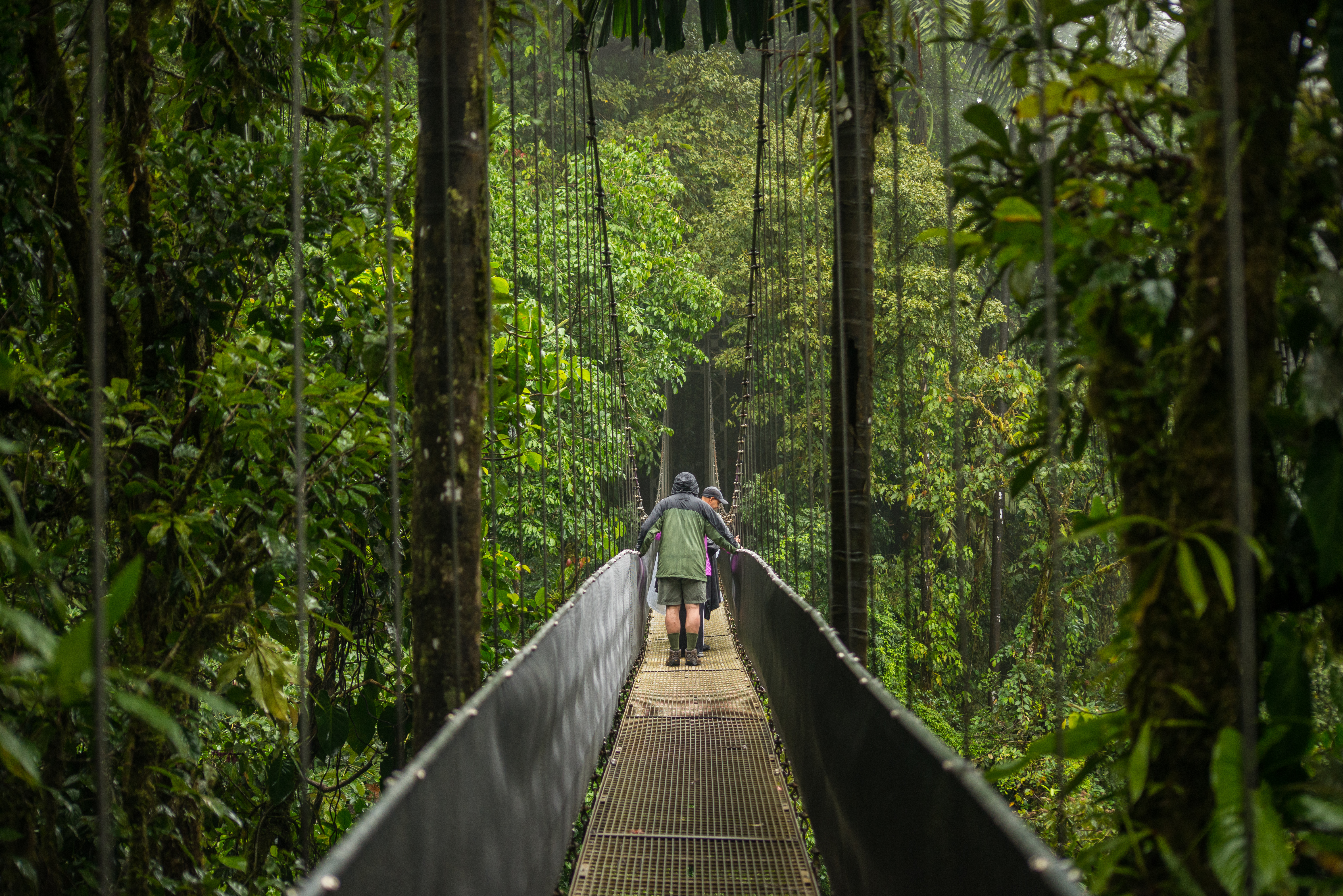 Les ponts suspendus du Mistico Park, Arenal